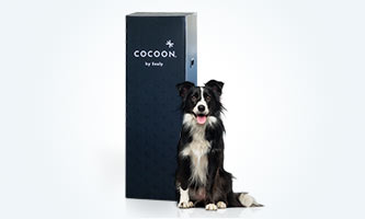 Cocoon by Sealy Box and Dog